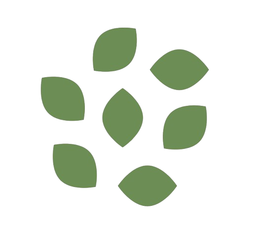 Aeration and Over-Seeding